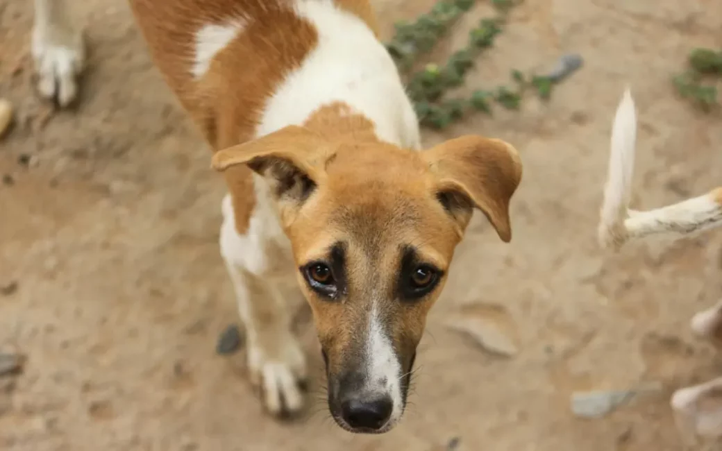 Featured image for Rewards and loyalty perks hub; focus on loyalty programs, comps value, points-to-cash comparisons, and